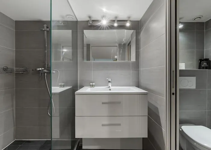 Appartement Hsh Cosy Duplex Kleber Arc De Triomphe Parijs